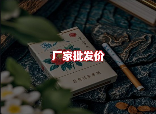 专业团队